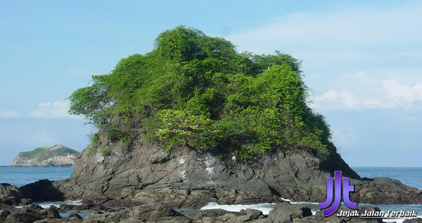 Kosta Rika Petualangan Hutan Hujan yang Asri